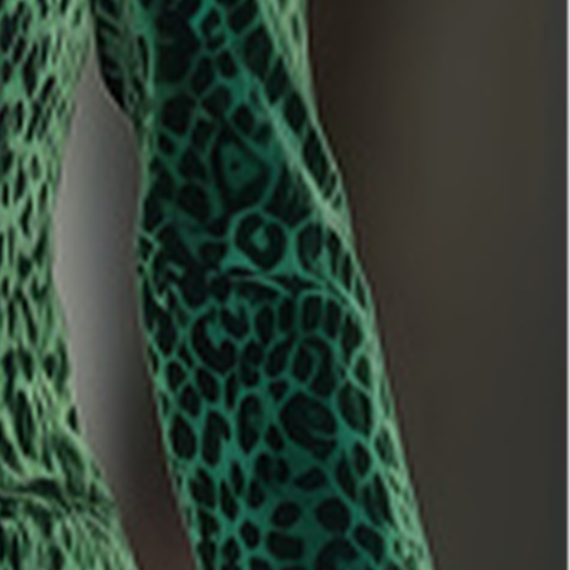 Velvet Blazer Women - ファッション女性用レオパードプリントスリムベルベットブレザー オフィスレディー ノッチラペル シングルボタン スーツジャケット コート