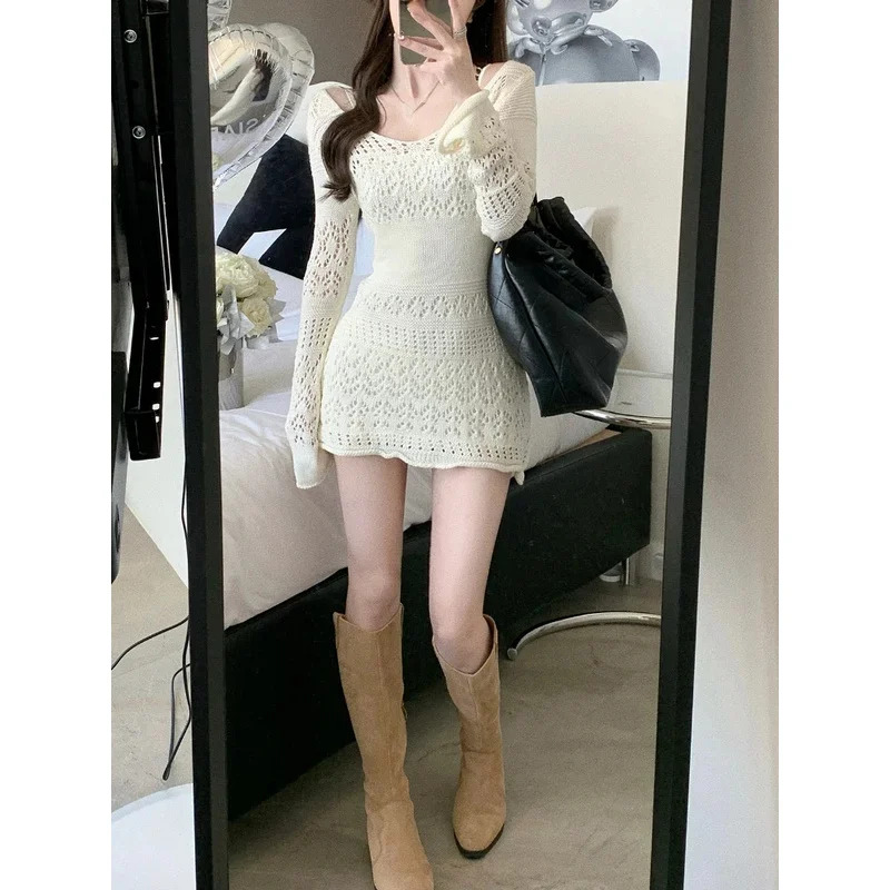 2024年秋 エレガントニットウェア レディース 長袖 レー - Women'S Fashion Hoodie のレビューと価格