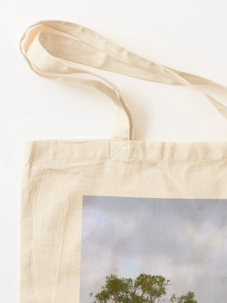 マッケンジー湖の木々、フレーザー島、クイーンズランド州、オー - Women'S Fashion Queensland のレビューと価格